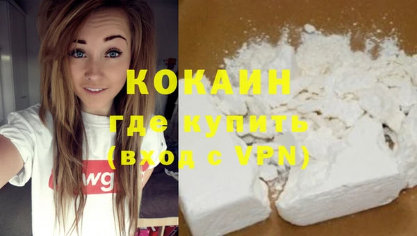 МДПВ Каменка