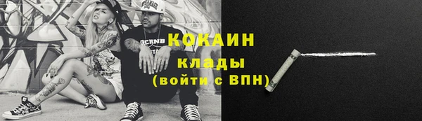 МДПВ Каменка