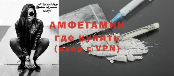 МДПВ Каменка