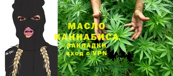 МДПВ Каменка