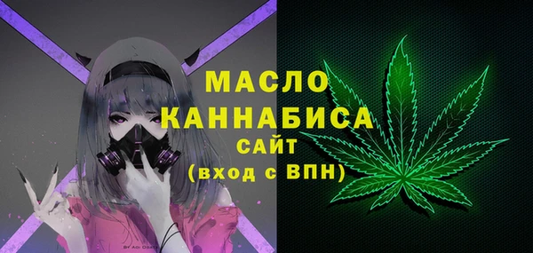 МДПВ Каменка
