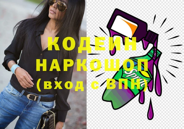 МДПВ Каменка