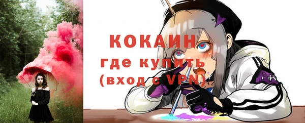 МДПВ Каменка
