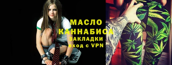 МДПВ Каменка